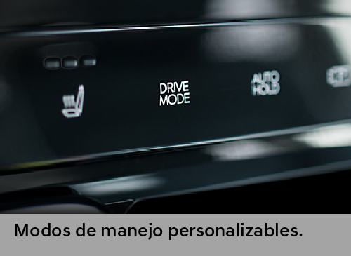 All-new Staria Confort